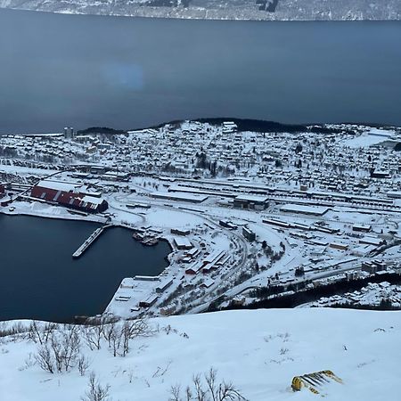 Narvik Sentrum公寓 外观 照片